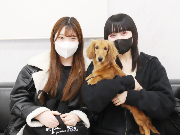 モデル犬の新しい家族が決まりました！PART⑤